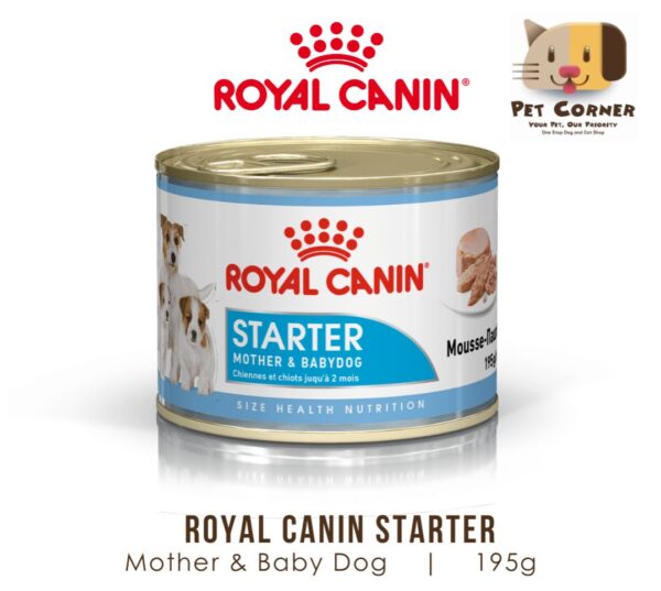 Royal Canin STARTER MOUSSE MOTHER